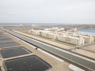5-jpg
